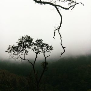 Meet your Posher, Mimur